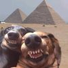 silly_0060