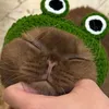 yskchk