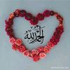 user81036100397571