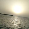m7hamid7