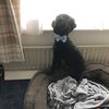 mariatherasdunne091967