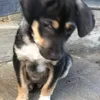 ntbt_kiki