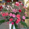 uraiwan2518