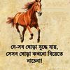 md.nazim516