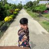 ali_030505