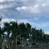 khly_220811