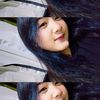 _nissaseptie1