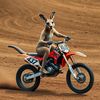 mxcross1