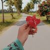 borsha_mony_