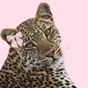 helin_2005e