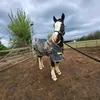 x.eq.sophh
