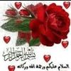 najatelh356