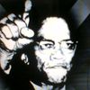 malcolmex