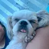 hae.ru