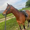 mhairi_macphee