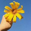 ayshaxx0m