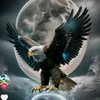 user8483468018421