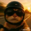 kucing_balap17