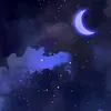 random_things.yes