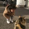 maniwy1