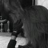 Shoog_shoog28