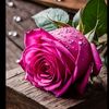 user6251973012473