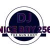 djniceboy256