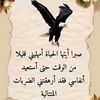 user4600727873028