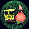 xxeliteztiktok