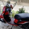 andrisetyawan603