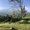 tukangpaidooo