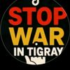 tigraynkdmit12