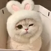 dieuquynn4