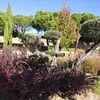 mariaeugeniarui39