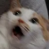 afagemoyyv