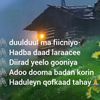 miskiin73