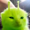 qqwen10