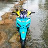 adin15102008