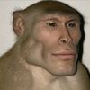 mankey_chad