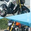 royabidin810