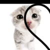 i_love_my._pookie