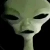 s._o83