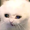 minh._.837