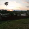 lone4ka4