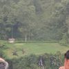 daanftr
