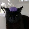 acatnamedtober