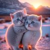 minh_anh_123456