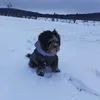 lxtta_a