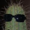 glowinthedarkcactus