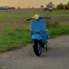oddarrr